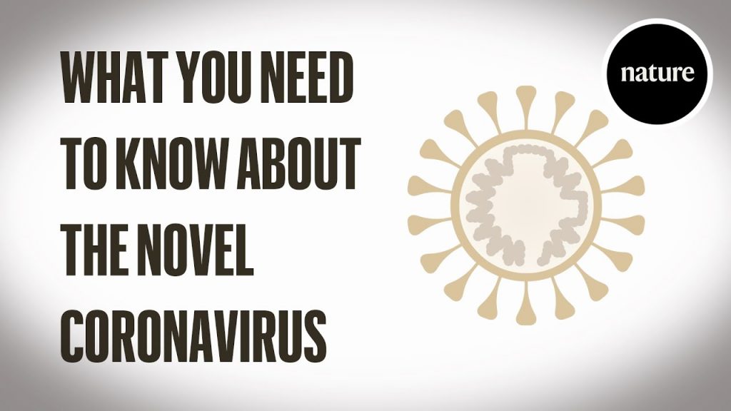 Everything You Should Know About Coronavirus