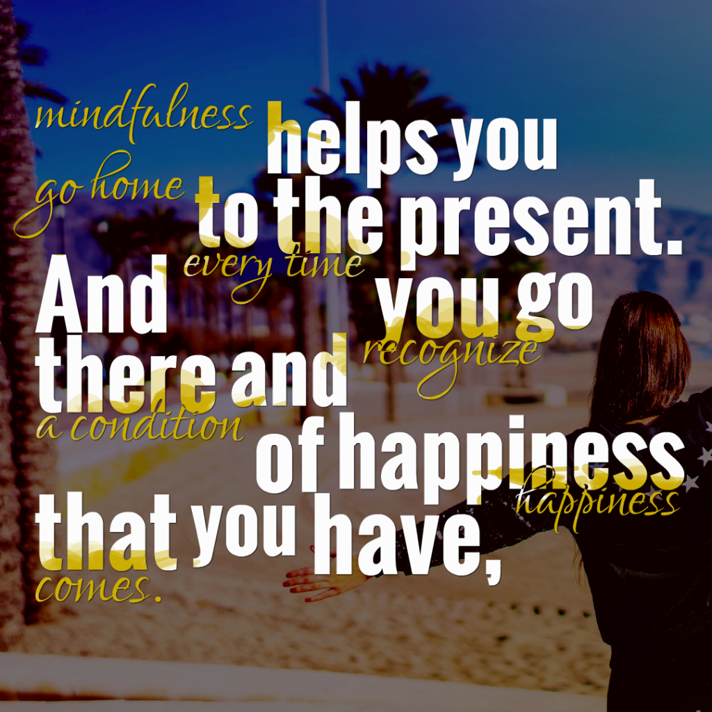 Mindfulness helps you go home to the present. And every time you go there and recognize a condition of happiness that you have, happiness comes.