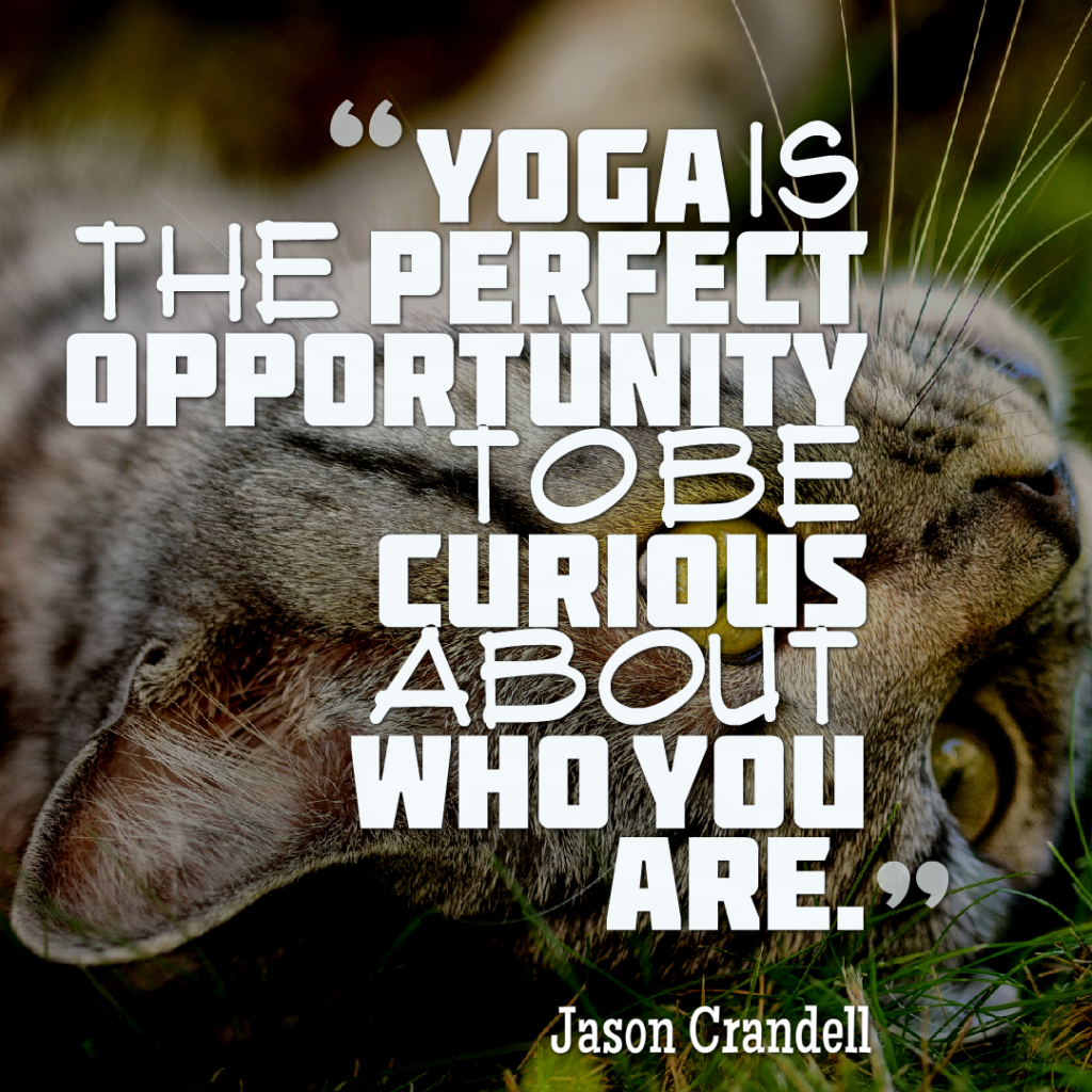 Yoga is the perfect opportunity to be curious about who you are.