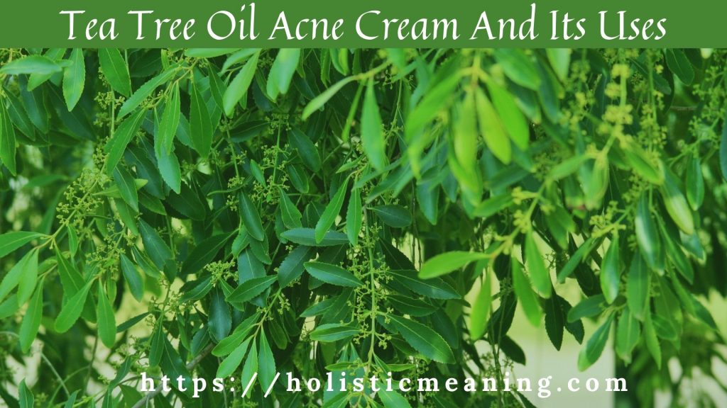 Tea Tree Oil Acne Cream And Its Uses